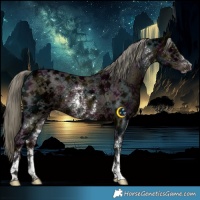 Horse Color:Midnight Liver Chestnut Ice Mushroom Sabino Rabicano 