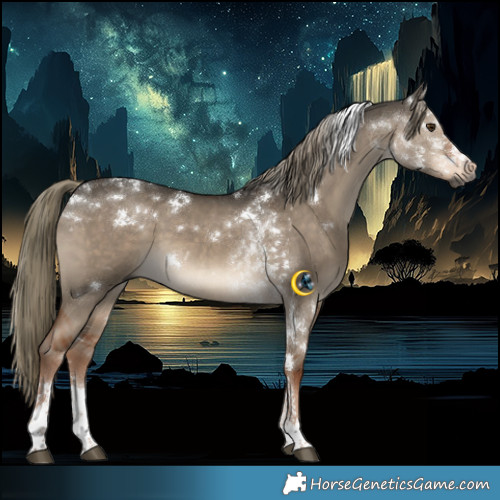 Horse Color:Gray White Spotted Liver Red Dun Mushroom Tobiano