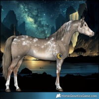 Horse Color:Gray White Spotted Liver Red Dun Mushroom Tobiano 