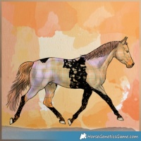 Horse Color:Void Watercolor Plaid Liver Red Dun Tobiano Brindle