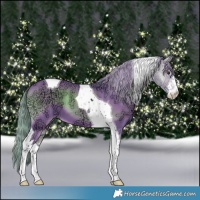 Horse Color:Watercolor White Spotted Liver Red Onyx Ice Tobiano 