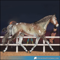 Horse Color:White Spotted Chocolate Palomino Ice Onyx Tobiano Brindle 