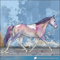 Horse Color:Watercolor Liver Red Dun Ice Onyx Tobiano Rabicano