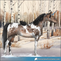 Horse Color:White Spotted Brown Dun Tobiano Brindle 