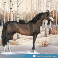 Horse Color:Brown Dun Sabino Brindle 