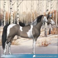 Horse Color:Brown Dun Sabino Tobiano