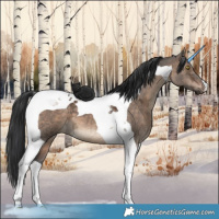 Horse Color:Brown Ice Dun Tobiano