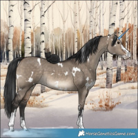 Horse Color:White Spotted Brown Dun Sabino