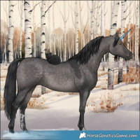 Horse Color:Platinum Brown Dun Sabino
