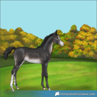 Horse Color:Platinum Brown Sabino