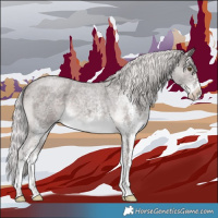 Horse Color:Platinum White Spotted Chocolate Palomino Roan 