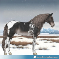 Horse Color:Platinum Liver Chestnut Tobiano 