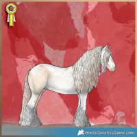 Horse Color:Gray Cremello Dun Tobiano 