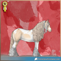 Horse Color:Gray Cremello Dun Tobiano 