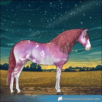 Horse Color:Watercolor White Spotted Liver Red Onyx Sabino