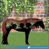 Horse Color:Void Watercolor White Spotted Liver Red Onyx Sabino Splash 
