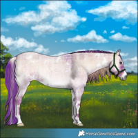 Horse Color:Watercolor Plaid  White Spotted Liver Red Dun Roan Onyx 