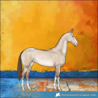 Horse Color:Brown Pearl Dun Brindle 