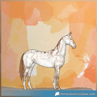 Horse Color:Bay Snowdrop Pearl Dun Near Leopard 