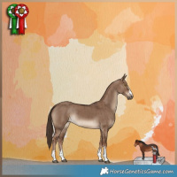 Horse Color:Liver Red Dun Brindle 