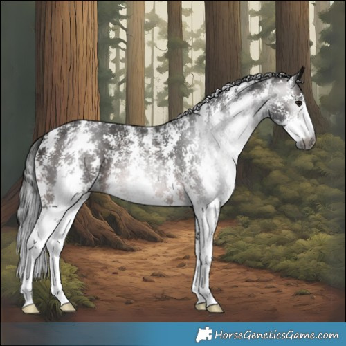 Horse Color:Gray Brown Sabino Rabicano