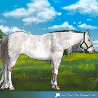 Horse Color:White Spotted Liver Red Dun Roan