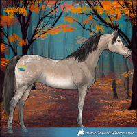 Horse Color:White Spotted Bay Ice Dun 