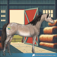 Horse Color:White Spotted Bay Ice Dun 