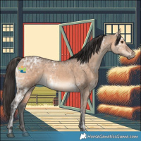 Horse Color:White Spotted Bay Ice Dun 