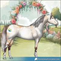 Horse Color:Gray White Spotted Chocolate Buckskin Dun Rabicano 