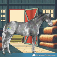 Horse Color:White Spotted Midnight Palomino Chinchilla Ice Dun Rabicano