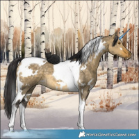 Horse Color:White Spotted Buckskin Dun Tobiano