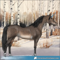 Horse Color:Brown Dun Tobiano