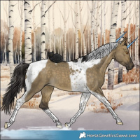 Horse Color:Buckskin Dun Tobiano