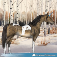 Horse Color:Buckskin Dun Tobiano Rabicano Brindle 