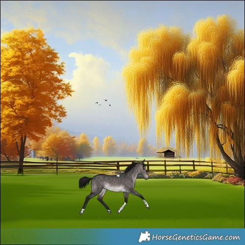 Horse Color:Gray Platinum Brown Dun Tobiano Rabicano 