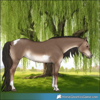 Horse Color:White Spotted Liver Red Dun Tobiano Rabicano