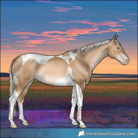 Horse Color:Chocolate Palomino Pearl Mushroom Tobiano 