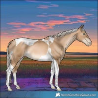 Horse Color:Chocolate Palomino Pearl Mushroom Tobiano