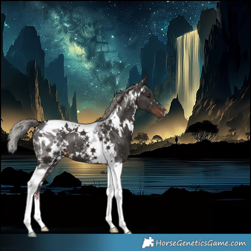 Horse Color:White Spotted Liver Chestnut Mushroom Tobiano 