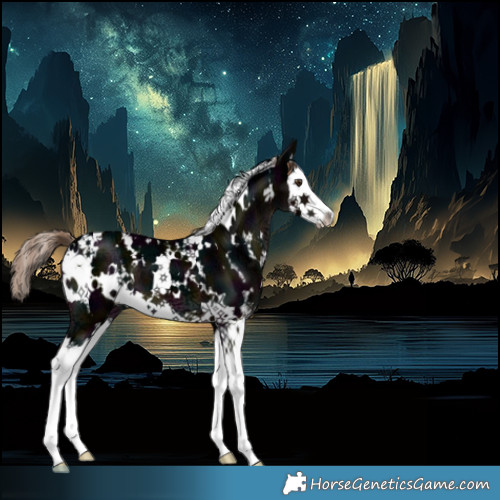 Horse Color:White Spotted Midnight Liver Chestnut Ice Splash 