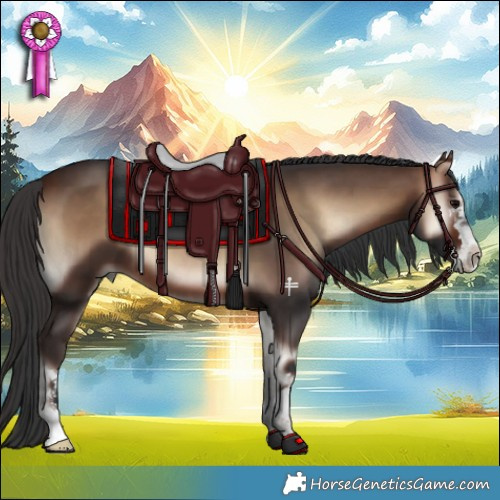 Horse Color:Bay Onyx 