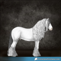 Horse Color:Grullo Roan Tobiano Frame Appaloosa Brindle 