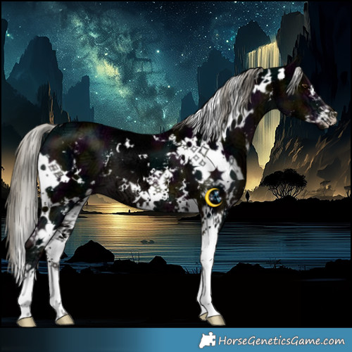 Horse Color:White Spotted Midnight Liver Chestnut Ice Mushroom Sabino