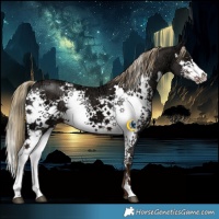 Horse Color:White Spotted Liver Chestnut Ice 