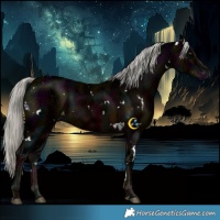 Horse Color:White Spotted Midnight Liver Chestnut Ice Mushroom 