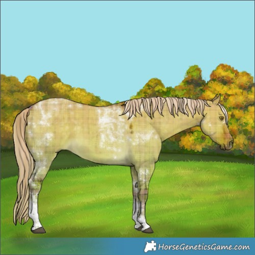 Horse Color:Plaid  White Spotted Chocolate Palomino Dun Tobiano 