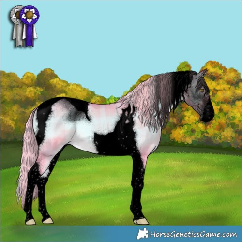 Horse Color:Void Watercolor Plaid  White Spotted Chocolate Palomino Onyx Tobiano 