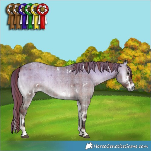 Horse Color:Plaid  White Spotted Liver Red Dun Roan Onyx Brindle 