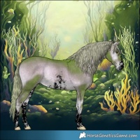 Horse Color:Void Watercolor Liver Red Onyx Sabino